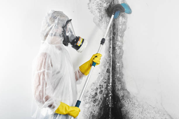 Best Residential Mold Inspection & Testing  in Timberline Fernwood, AZ