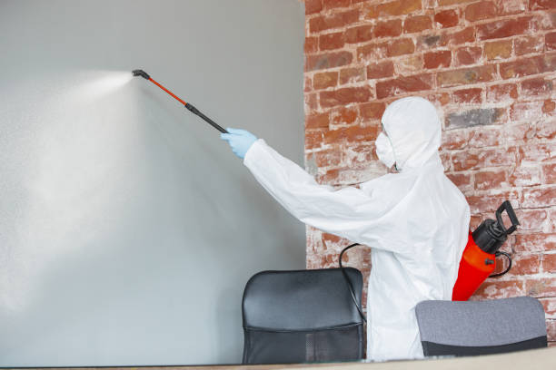 Best Environmental Consulting for Mold Prevention  in Timberline Fernwood, AZ