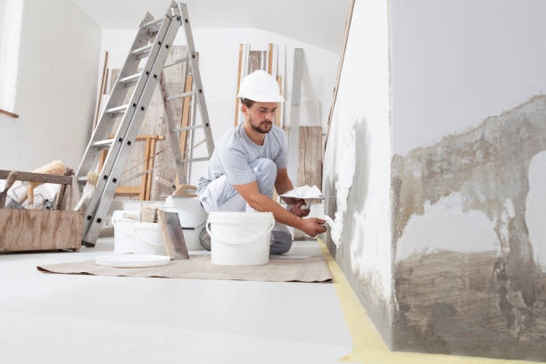 Best Mold Damage Restoration  in Timberline Fernwood, AZ