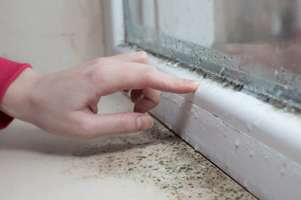 Best Indoor Air Quality Assessment  in Timberline Fernwood, AZ