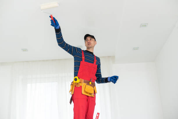 Timberline Fernwood, AZ Mold Removal Company