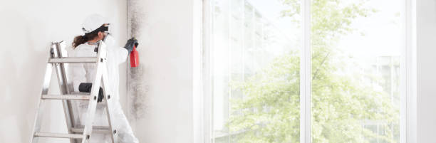 Best Mold Remediation for Healthcare Facilities  in Timberline Fernwood, AZ