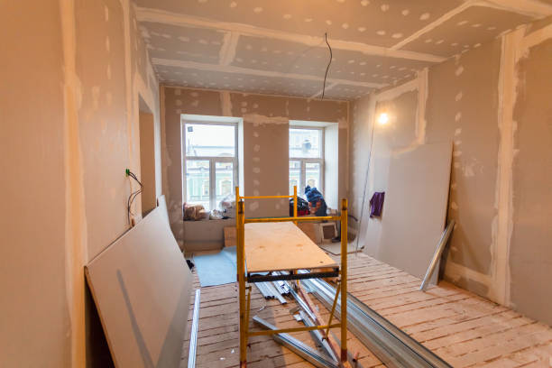 Best Attic Mold Removal  in Timberline Fernwood, AZ